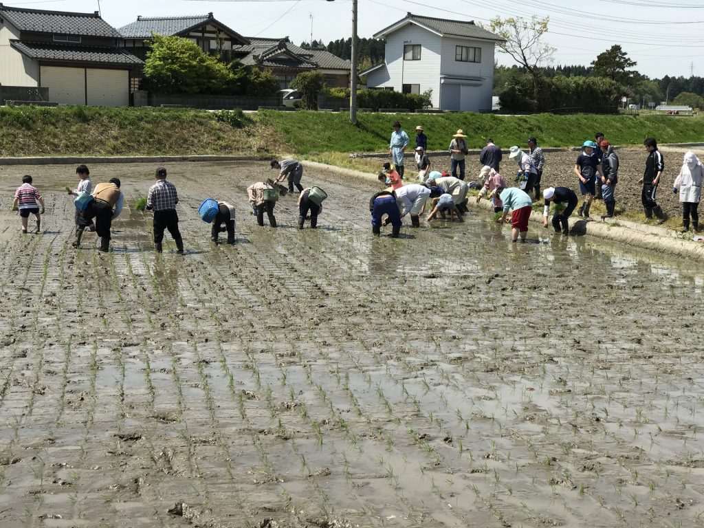 Everyone working together to plant the whole field!